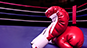 Click here for Night of Knockouts XXXIV 