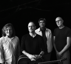 Click here for Gin Blossoms 